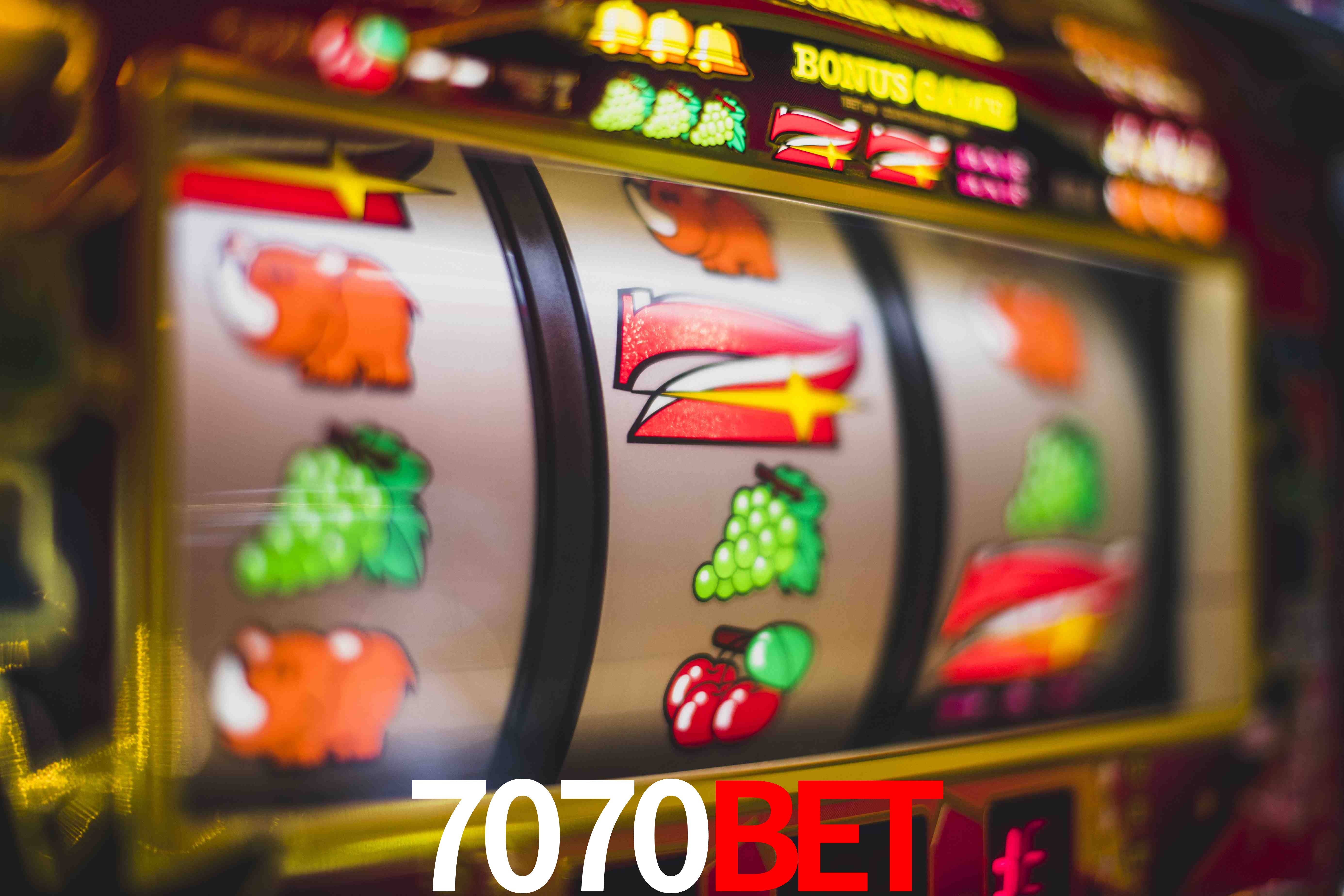 Sports Statistics 7070bet